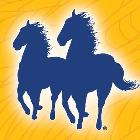 MANE'N TAIL