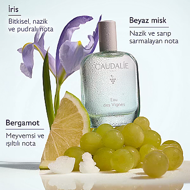 Caudalie Eau De Vignes Bergamot Aromalı Parfüm 50 ml - 2