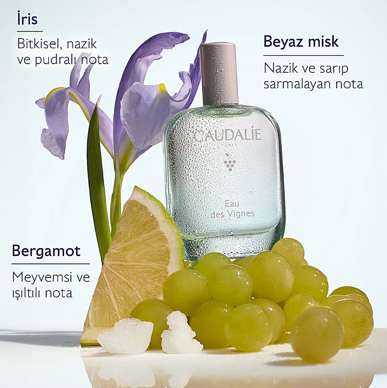 Caudalie Eau De Vignes Bergamot Aromalı Parfüm 50 ml - 2